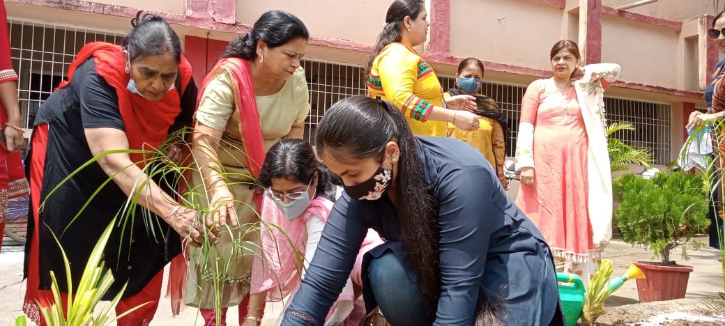 पंजाबी वुमेन संस्था ने लगाए पौधे, लिया रक्षा का संकल्प, पंजाबी संस्कृृति के संरक्षण मेंं विगत 5 वर्ष से सक्रिय संस्था