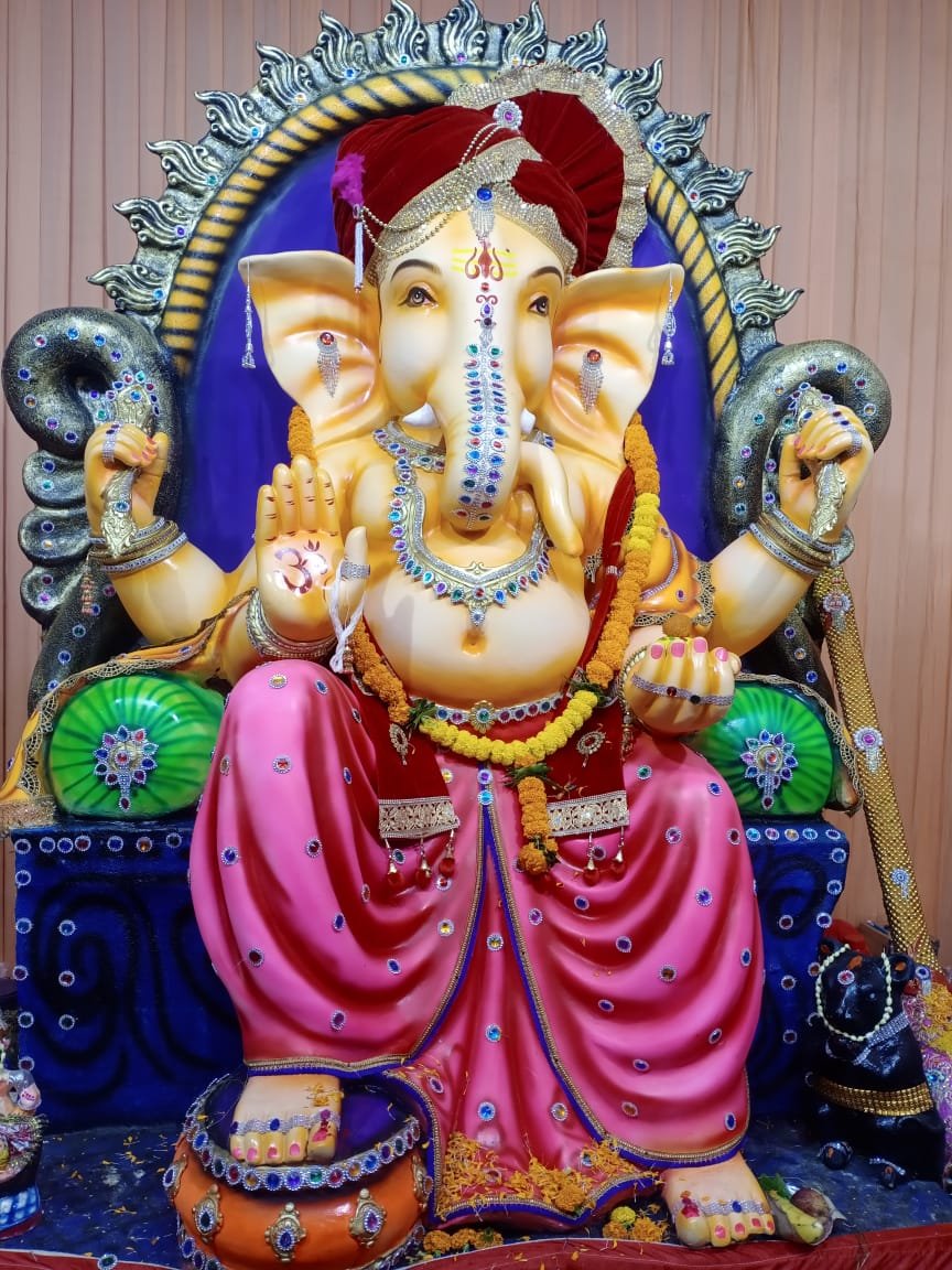 रोजगार कार्यालय मैदान में विराजे पावर हाउस सब्जी मंडी के राजा