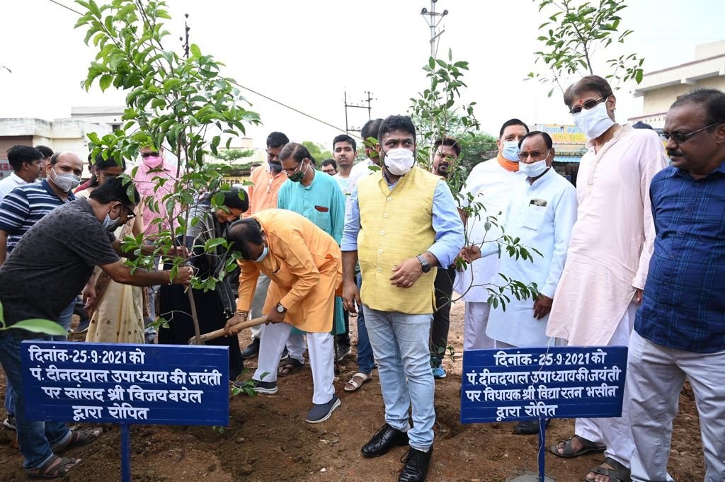पंडित दीनदयाल उपाध्याय की जयंती पर स्मृति गृह निर्माण सहकारी संस्था द्वारा किया गया पौधारोपण