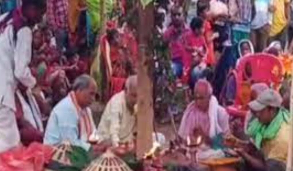 मेंढक की शादी में 1000 लोगों को दावत, जश्न में खूब नाचे बाराती, अनोखा ब्याह ?