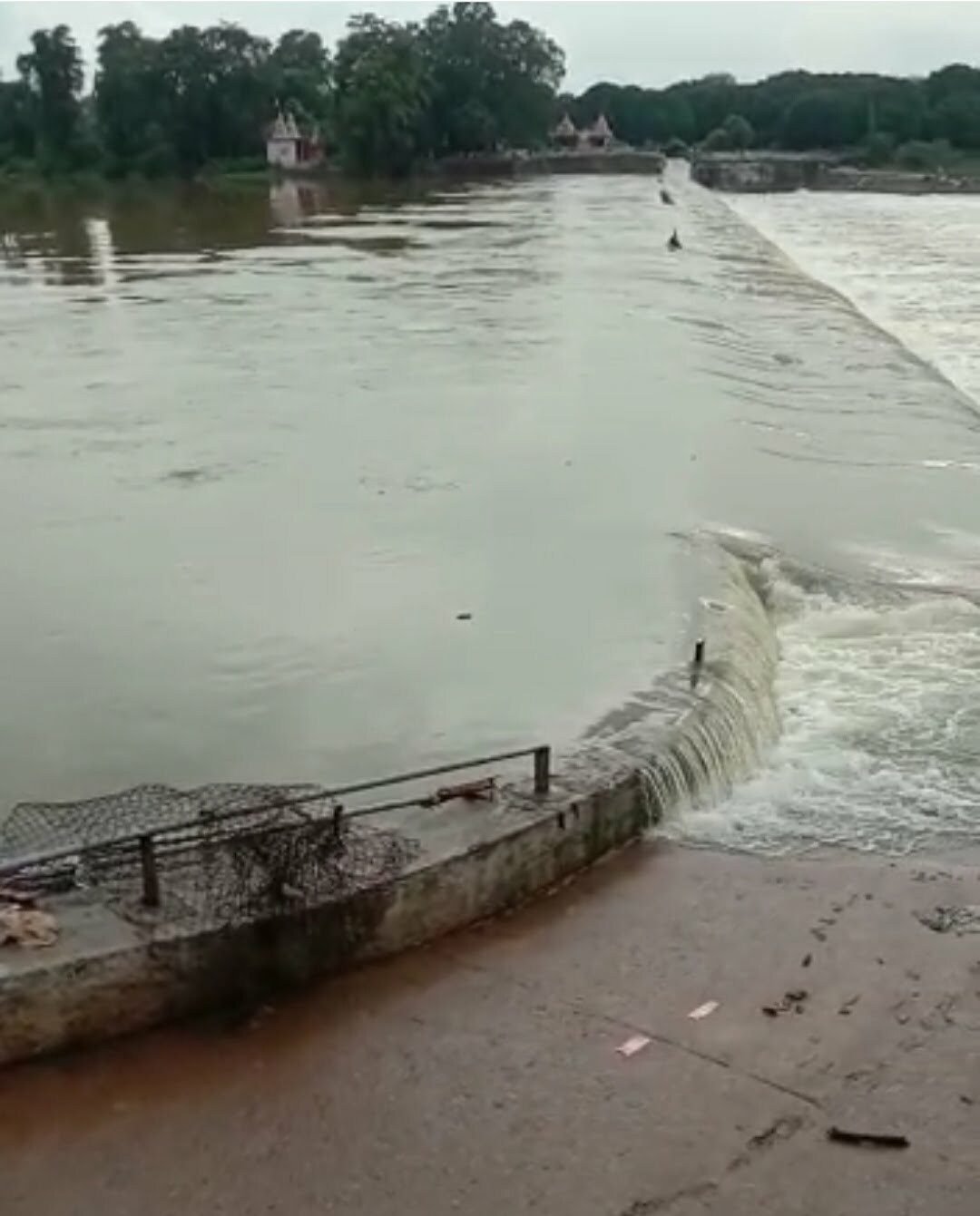 शिवनाथ नदी का जलस्तर बढ़ा छलका  महमरा एनीकट, 5 फीट ऊपर बह रहा पानी, नदी किनारे बसे गांव में मुनादी करा खतरे से कराया अवगत