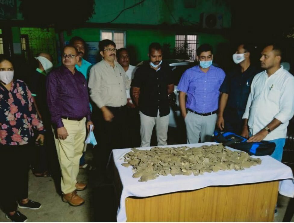 राजधानी में ढाई लाख का प्रतिबंधित पैंगोलिन स्केल्स की जप्ती, आरोपी गिरफ्तार