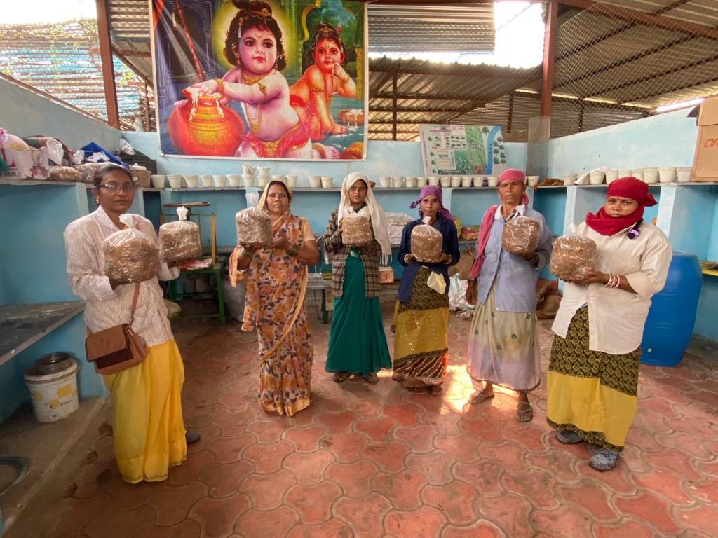शहरी गौठान से भिलाई की जनता खरीद सकेगी ताजा मशरूम, आर्या स्व. सहायता समूह ने शुरू किया उत्पादन , 1 महीने में 70000 ग्राम मशरूम का होगा उत्पादन
