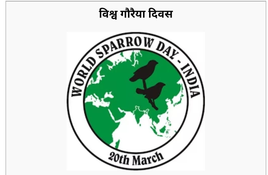 *आंगन में ची ची की आवाज के साथ फुदकती, नाचती कहां चली गई गौरैया, विश्व गौरैया दिवस पर विशेष आलेख*