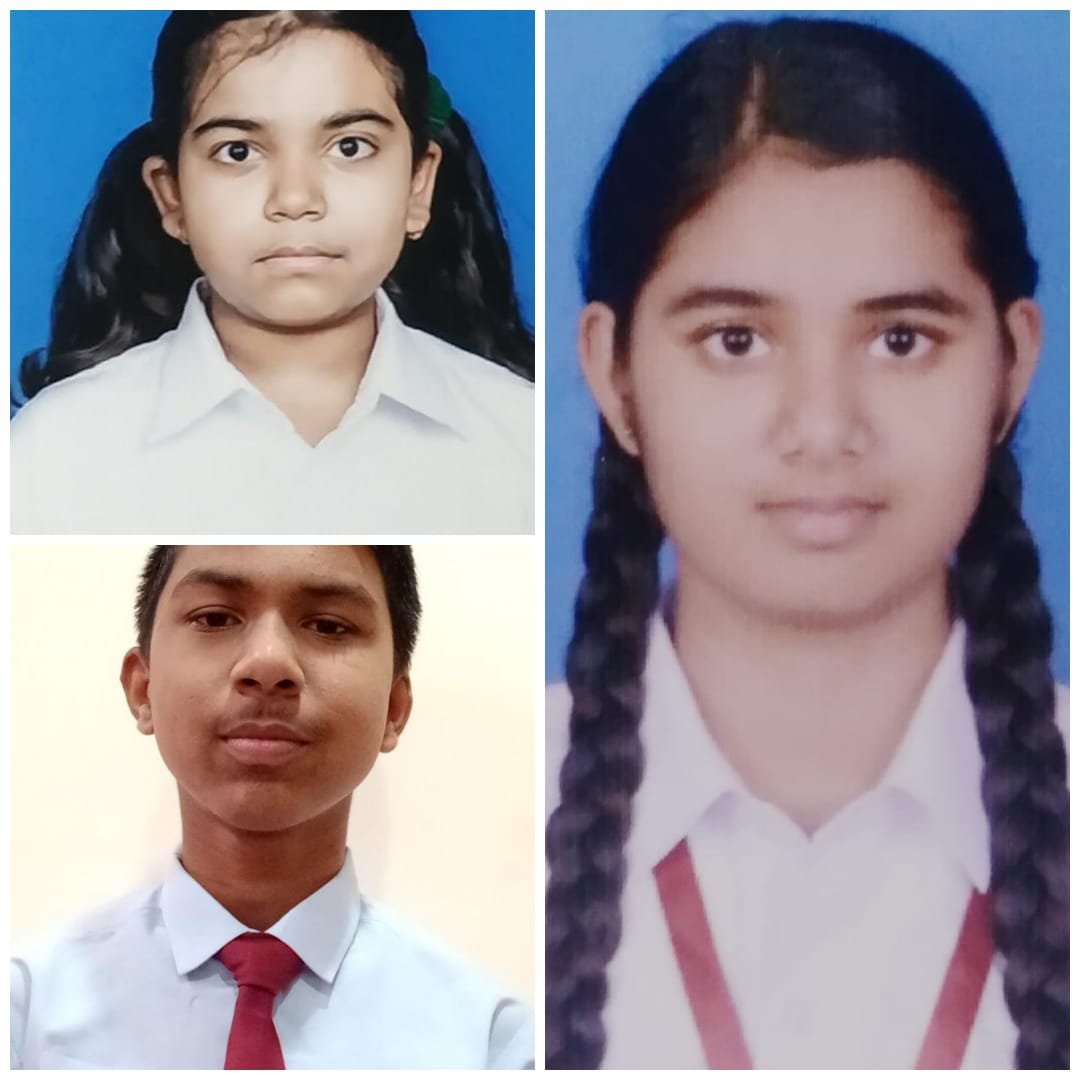अभा पोस्टर चित्रकला स्पर्धा में डीपीएस भिलाई की समीक्षा बनीं राष्ट्रीय विजेता