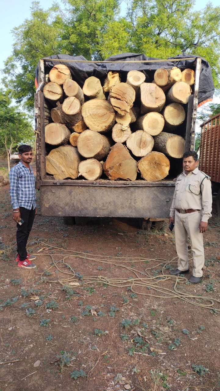 अवैध काष्ठ परिवहन करने वाले चार मेटाडोर वन विभाग के कब्जे में, कुम्हारी एवं धमधा क्षेत्र में मिली विभाग को सफलता