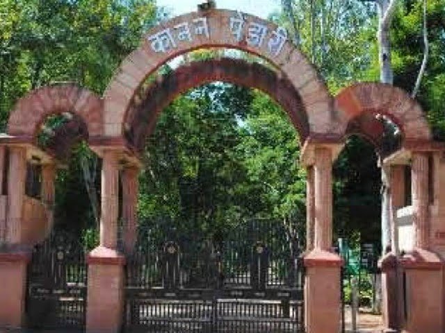 विश्व बाघ दिवस पर विशेष : मितान, आनंदी, रश्मि और दिशा अब बढ़ाएंगे अरण्य की शोभा, राज्य में बाघों की संख्या में वृद्धि के लिए हो रहे निरंतर कार्य
