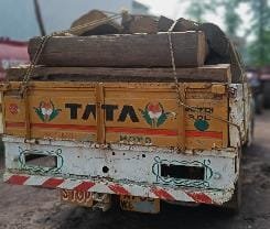 4 लाख का सागौन चिरान छोड़ भागे तस्कर, वाहन भी जब्त