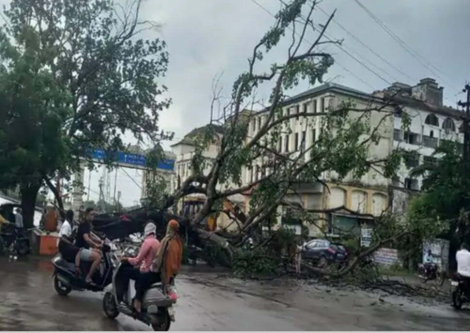 रायपुर भिलाई दुर्ग के बीच ट्रैफिक जाम विशाल पीपल का पेड़ सड़क पर गिरा एम्स अस्पताल के पास, कोई जनहानि नहीं हटाने में जुटी एसडीआरएफ की टीम