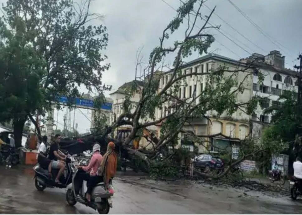 रायपुर भिलाई दुर्ग के बीच ट्रैफिक जाम विशाल पीपल का पेड़ सड़क पर गिरा एम्स अस्पताल के पास, कोई जनहानि नहीं हटाने में जुटी एसडीआरएफ की टीम