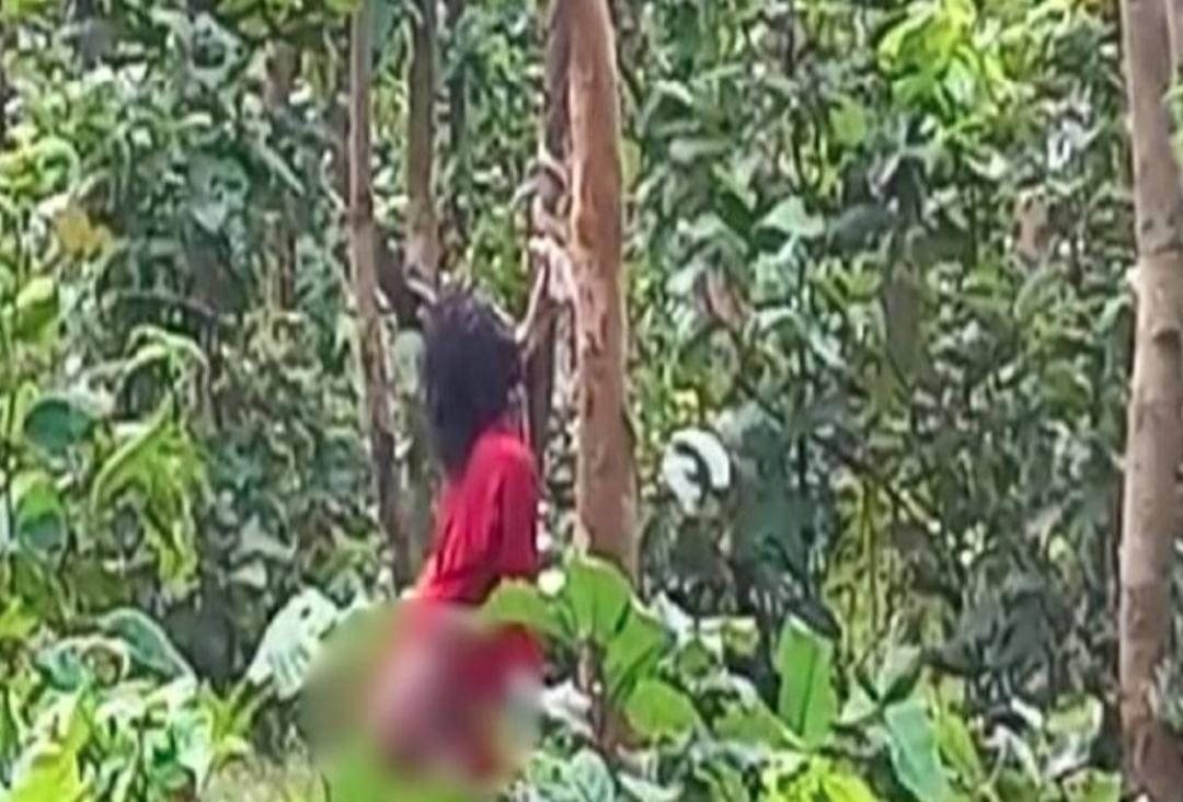 युवक की हत्या कर पत्नी को उठा जंगल ले गए, डेढ़ साल का बच्चा घायल मिला, महिला को मार पेड़ पर लटका गए
