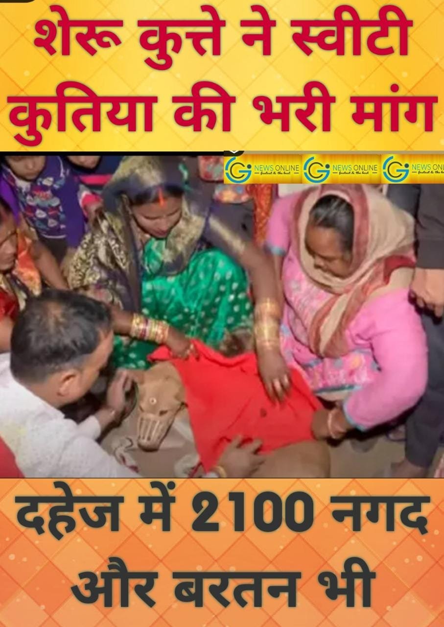 “बिन फेरे हम तेरे” शादी के ठीक पहले दुल्हन गलियों में मिली, 3 घंटे बाद खोज लाए दूल्हा, बिना सात फेरे शादी हुई सम्पन्न, देखिए विडियो