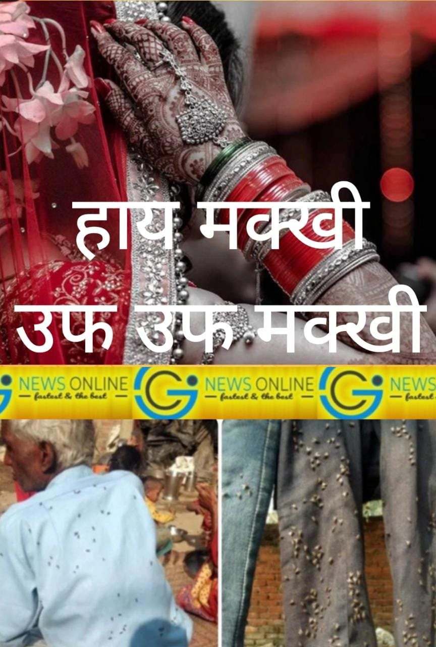 “मक्खियों से कईयों की शादी शुदा जिंदगी खतरे में…🔴 दुल्हन छोड़ कर जा रही मायके😳”