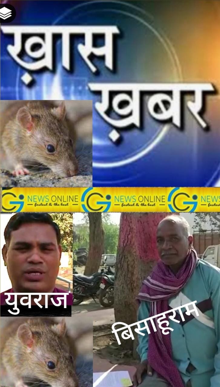 <em>छत्तीसगढ़ में बस्तर से बालोद पहुंचा चूहों का आतंक” 🛑 मशीन के तार काटने के बाद अब पडो़सियों में लड़ाई करवा रहे “चूहे”</em>