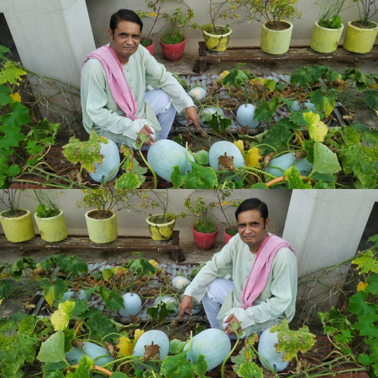 साहित्याचार्य डा.शर्मा का पशुपक्षियों और पर्यावरण से प्रेम देता है समूचे समाज को प्रेरणा, जानिए शिक्षाविद डॉ शर्मा के सफलतम 42 वर्ष के सफर को