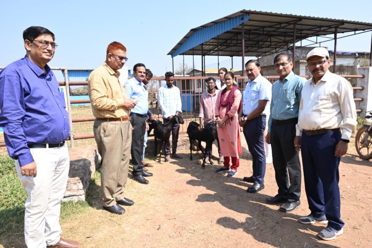 <em>अब उस्मानाबादी बकरियों के लिए बकरी पालकों को दूसरे राज्य संपर्क करने की जरूरत नहीं 🟫 कुर्मीगुंडरा गौठान प्रदेश का पहला गौठान जहां प्रजनन केंद्र किया जा रहा स्थापित</em> <em>अब उस्मानाबादी बकरियों के लिए बकरी पालकों को दूसरे राज्य संपर्क करने की जरूरत नहीं 🟫 कुर्मीगुंडरा गौठान प्रदेश का पहला गौठान जहां प्रजनन केंद्र किया जा रहा स्थापित</em>