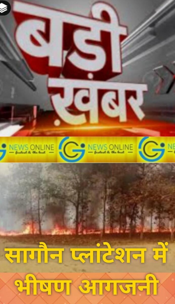 <em>बड़ी खबर – सागौन प्लांटेशन में लगी भीषण आग फैलती हुई 4 से 5 किमी तक पहुंची</em> <em>बड़ी खबर – सागौन प्लांटेशन में लगी भीषण आग फैलती हुई 4 से 5 किमी तक पहुंची</em>