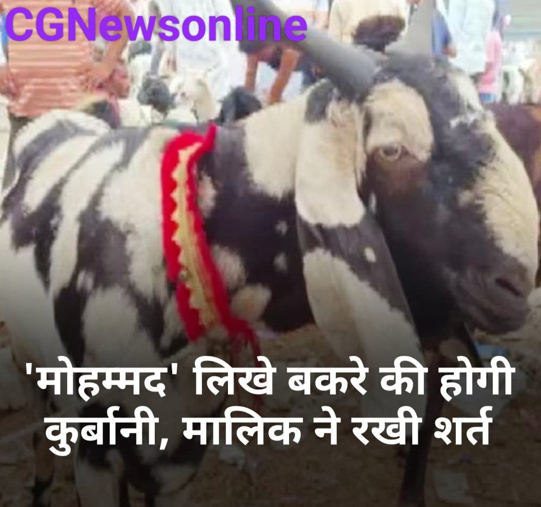 <em>खास खबर 🟩 “मोहम्मद” लिखे बकरे की होगी कुर्बानी 🟦 मालिक ने रखी शर्त 🟫 कुर्बान करोगे तो 6 लाख यदि पालने के लिए खरीद रहे तो 3 लाख में ले जाओ</em> <em>खास खबर 🟩 “मोहम्मद” लिखे बकरे की होगी कुर्बानी 🟦 मालिक ने रखी शर्त 🟫 कुर्बान करोगे तो 6 लाख यदि पालने के लिए खरीद रहे तो 3 लाख में ले जाओ</em>