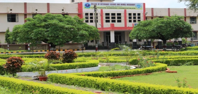 <em>पशु चिकित्सा महाविद्यालय में द्वितीय चरण में वेटनरी स्नातक की समस्त सीट हुई फुल</em>