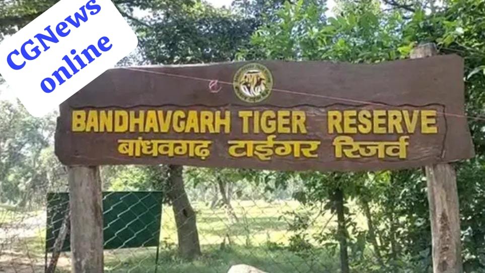 <em>छत्तीसगढ़ के युवक ने एमपी टाइगर रिजर्व रेस्ट हाउस में की खुदकुशी 🟪 पुलिस ने सुसाइड नोट किया जब्त</em>