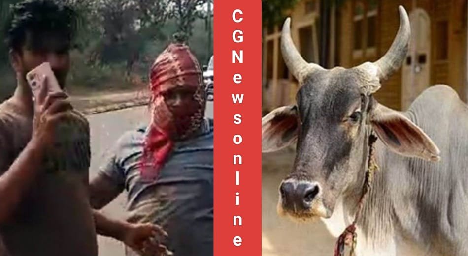 <em>सिर पर हथौड़ा मार गाय की हत्या कर मांस बेचने की फिराक में लगे भिलाई से दो गिरफ्तार 🛑 एक फरार युवक की सरगर्मी से तलाश</em>