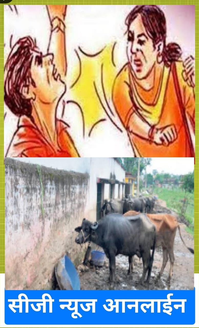 <em>साली-जीजा ने जबरन दूध छीना 🛑 नाबालिग को लोटे से मार किया लहुलुहान 🛑 खुर्सीपार खटाल की घटना</em>