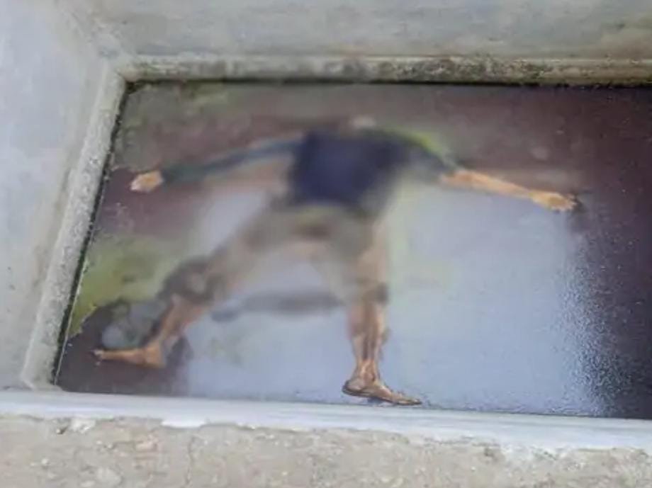 दुर्ग फार्म हाउस के सैप्टिक टैंक में मिली युवक की लाश 🛑 जांच में जुटी पुलिस