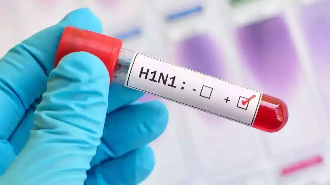 Breaking News : छत्तीसगढ़ में स्वाइन फ्लू हुआ जानलेवा, 24 घंटे में 2 की गई जान, एक हफ्ते में 29 पॉजिटिव Breaking News : छत्तीसगढ़ में स्वाइन फ्लू हुआ जानलेवा, 24 घंटे में 2 की गई जान, एक हफ्ते में 29 पॉजिटिव