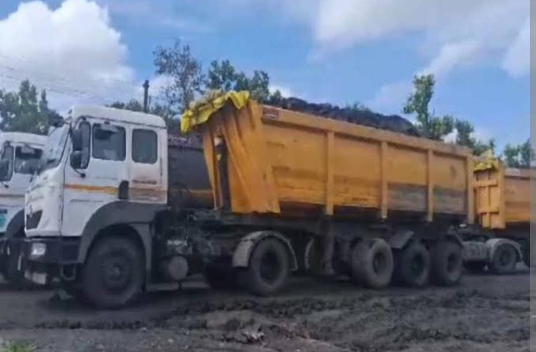 बछड़े को कुचलता निकल गया SECL का कोयला डंफर 🛑 विरोध में रात भर सड़क पर बैठे लोग 🛑 9 घंटे कोल परिवहन रहा बंद, देर रात पुलिस ने समझाइश दे हटाया