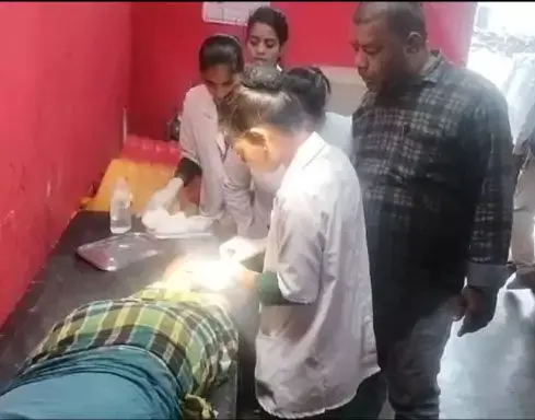 CG ख़बर : टाइगर रिजर्व एरिया के सीमावर्ती क्षेत्र में लोमड़ी ने ग्रामीणों पर किया हमला, चार घायल