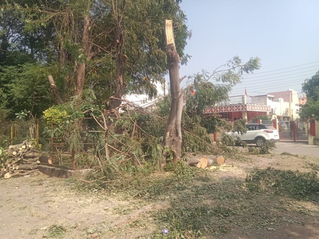 हाऊसिंग बोर्ड में अवैध पेड़ कटाई, विद्युत आपूर्ति अचानक ठप होने से उडे़ टीवी फ्रिज, भाजपा महिला जिलाध्यक्ष ने की थाना में शिकायत हाऊसिंग बोर्ड में अवैध पेड़ कटाई, विद्युत आपूर्ति अचानक ठप होने से उडे़ टीवी फ्रिज, भाजपा महिला जिलाध्यक्ष ने की थाना में शिकायत
