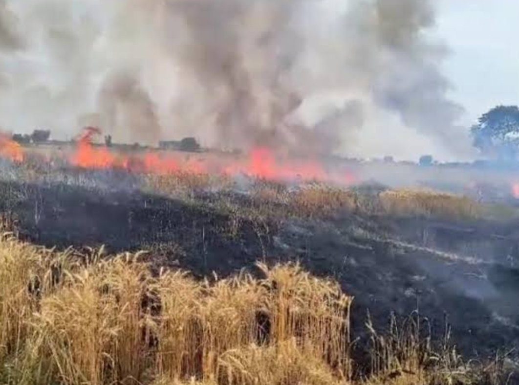 छत्तीसगढ़ में कर्ज लेकर किसान ने तैयार की फसल, रातों रात महीनों की मेहनत जल कर हुई खाक