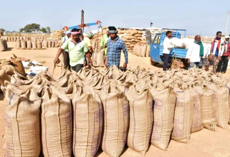 धान खरीदी का आंकड़ा 145 लाख मीट्रिक टन से पार, अब तक का बना नया रिकॉर्ड