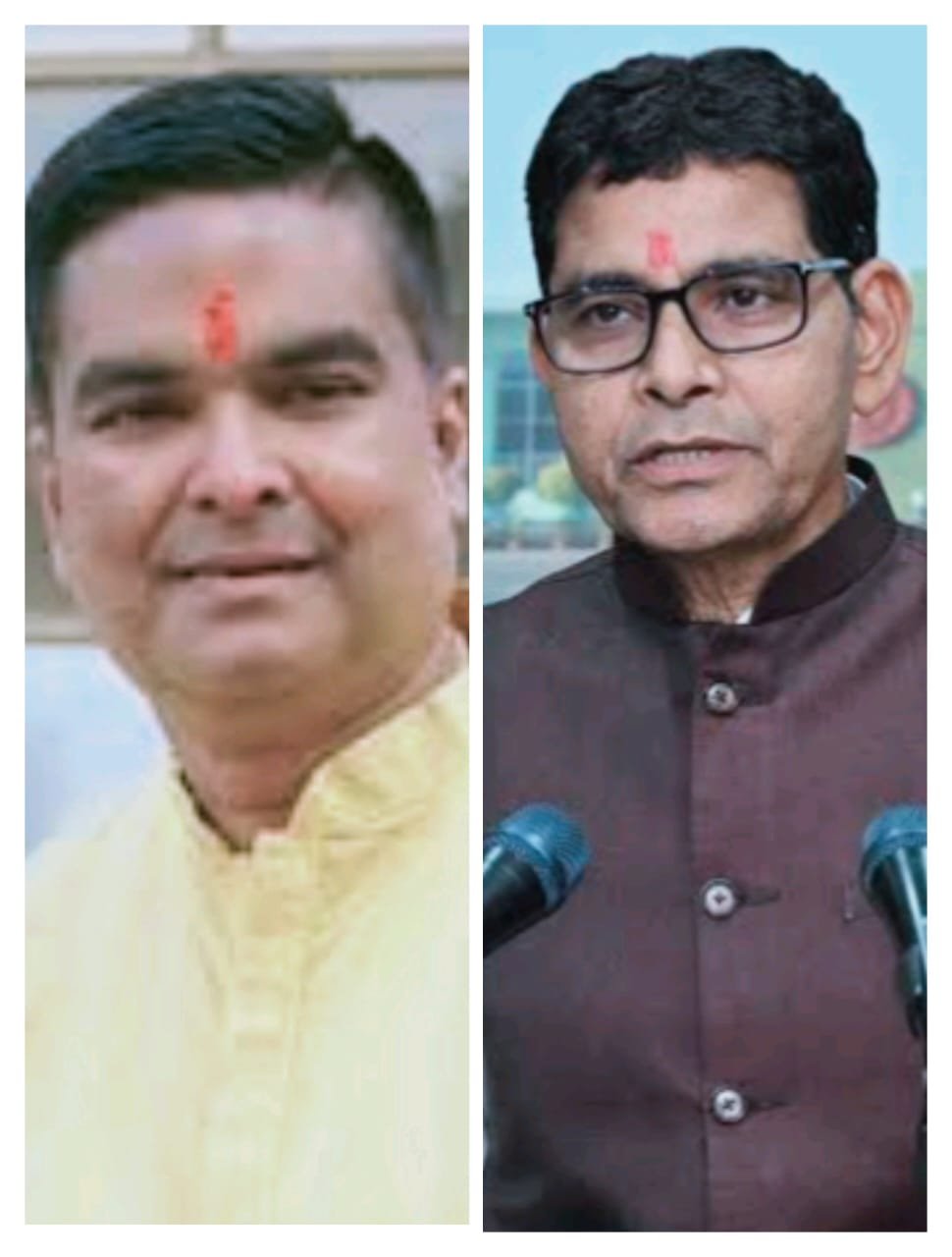 भिलाई के गार्डन से कितने हरे भरे पेड़ काटे गए, संबंधितों पर क्या हुई कार्रवाई