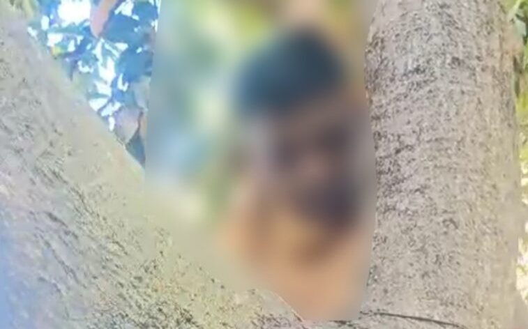 CG Breaking : पेड़ पर लटकी मिली ट्रैफिक जवान की लाश…. जांच में जुटी पुलिस CG Breaking : पेड़ पर लटकी मिली ट्रैफिक जवान की लाश…. जांच में जुटी पुलिस