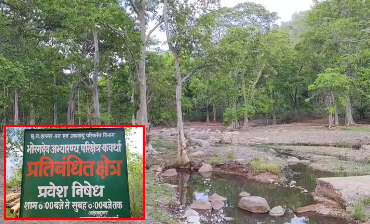 भोरमदेव में पहली बार शुरू होगी छत्तीसगढ़ की इलेक्ट्रिक जिप्सी जंगल सफारी