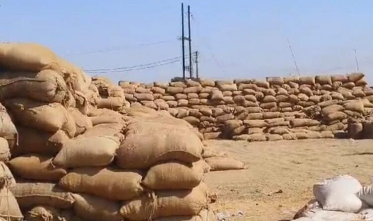 धान घोटाला : 63 लाख की हेराफेरी, 2000 क्विंटल से ज्यादा धान गायब