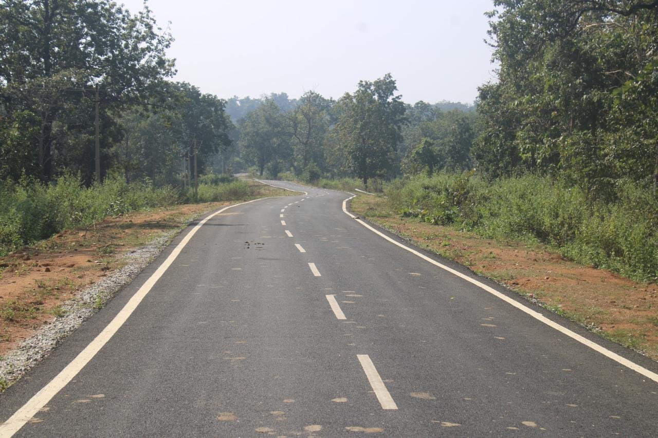 छत्तीसगढ़ की तरक्की में युवाओं की सुनिश्चित हो रही सक्रिय भागीदारी: