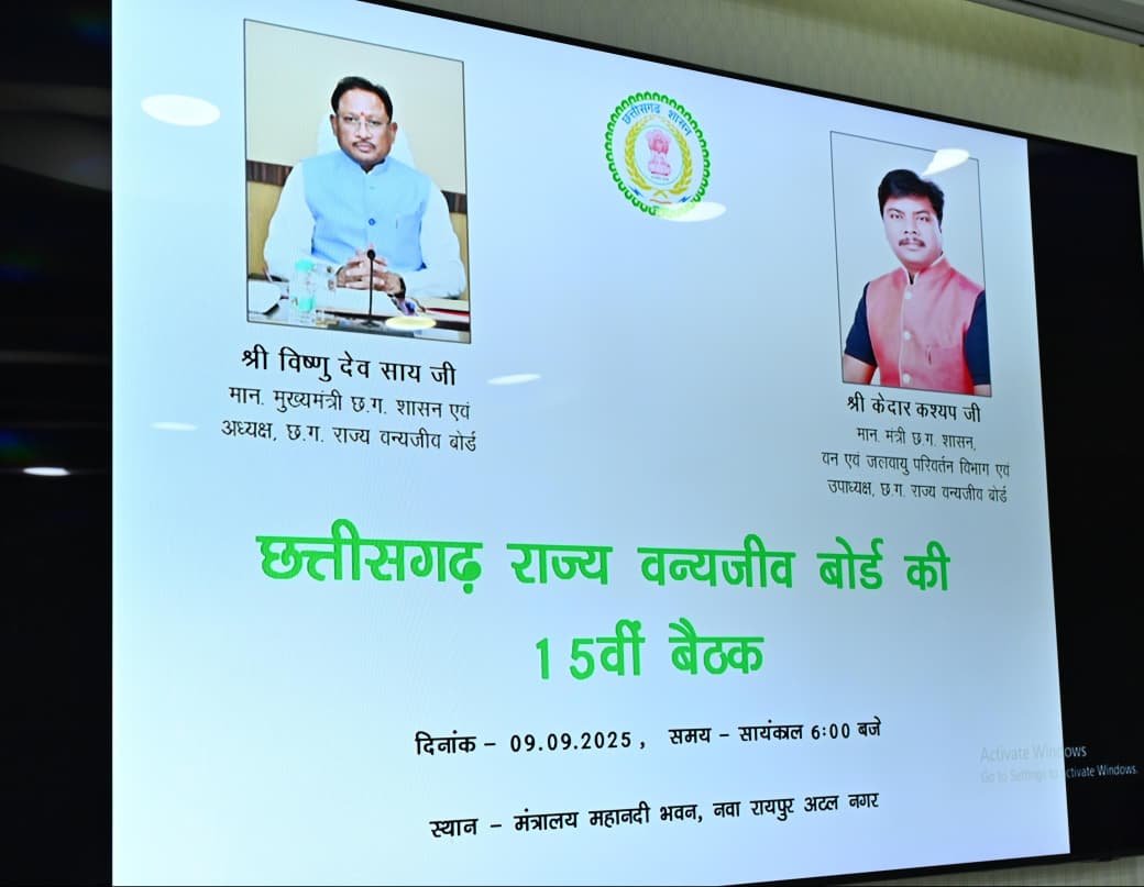 तीन साल में छत्तीसगढ़ में बाघों की बढ़ने लगी आबादी, 17 से बढ़कर हुई 35