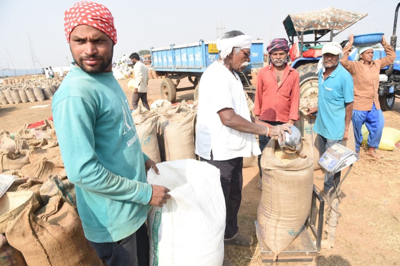 छत्तीसगढ़ के सभी जिलों में समर्थन मूल्य पर धान खरीदी का सिलसिला जारी