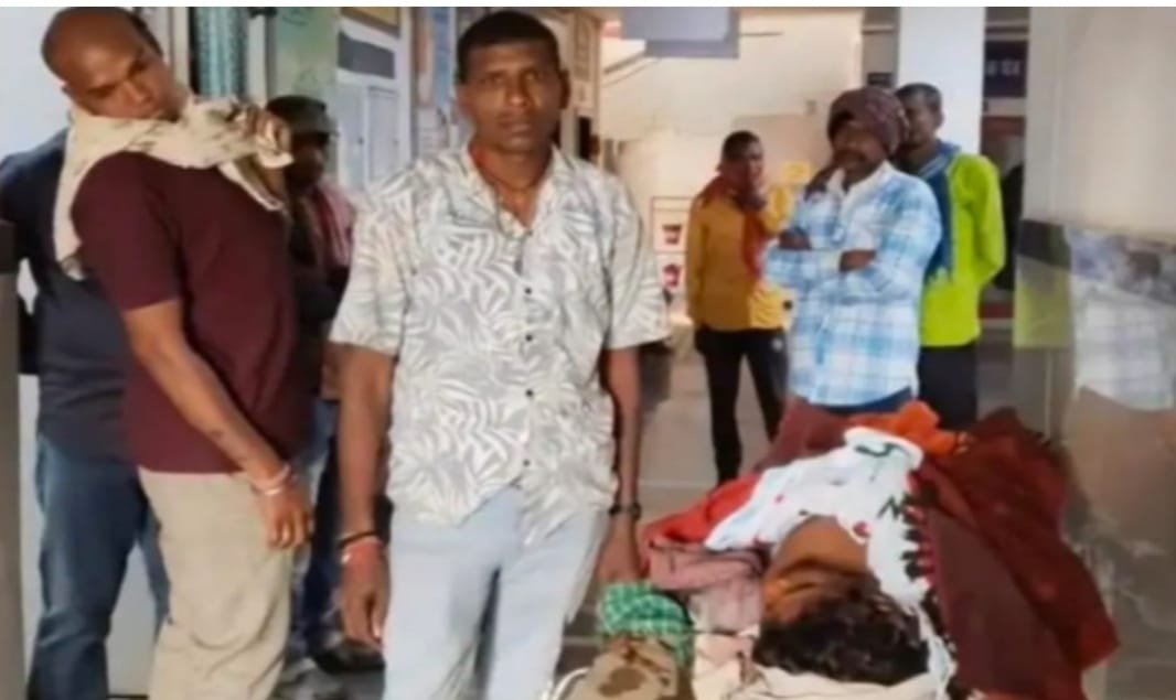 CG News : डीजे के साथ डांस के दौरान युवक की चाकू मारकर हत्या, 6 गिरफ्तार CG News : डीजे के साथ डांस के दौरान युवक की चाकू मारकर हत्या, 6 गिरफ्तार