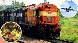 Interesting Facts: दुनिया का इकलौता फल, ट्रेन व फ्लाइट में नहीं ले जा सकते