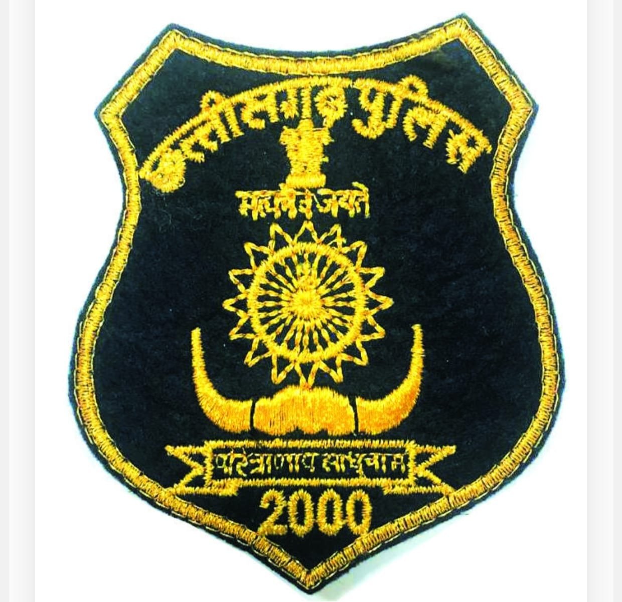 छत्तीसगढ़ के 11 पुलिस अधिकारी कर्मियों को पुलिस पदक, 4 महिला अधिकारी