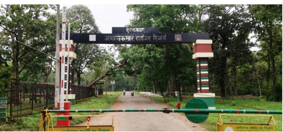 CG News : अचानकमार में गूंजेगी बाघों की दहाड़, मार्च में आएंगे तीन मेहमान CG News : अचानकमार में गूंजेगी बाघों की दहाड़, मार्च में आएंगे तीन मेहमान