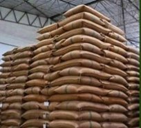 धान खरीदी में नया रिकॉर्ड : 13 जनवरी तक 17.77 लाख किसानों के खातों में पहुंचा ₹23,448 करोड़