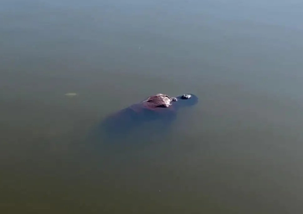 होली के दूसरे दिन तालाब में मिला युवक का शव, नहाने के दौरान डूबने की आशंका