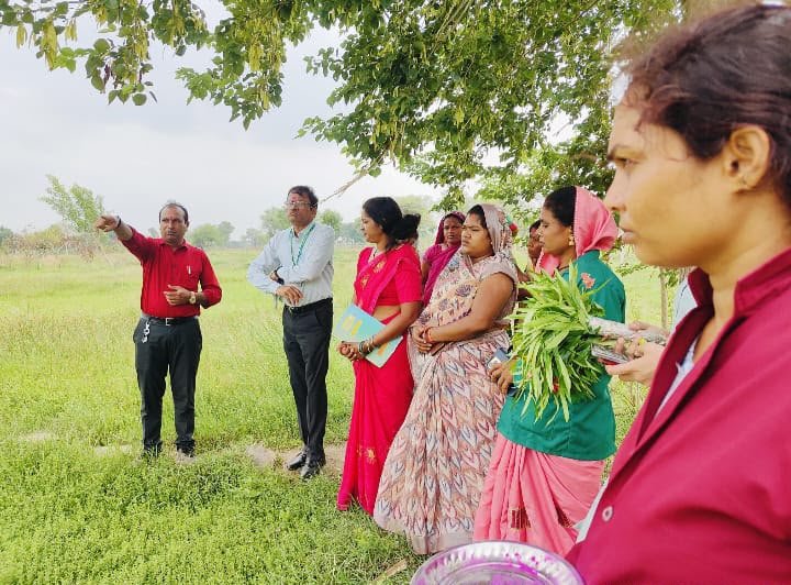 विशेष लेख : औषधीय पौधों की खेती से बदली महिलाओं की तकदीर, बढ़ेगा दायरा विशेष लेख : औषधीय पौधों की खेती से बदली महिलाओं की तकदीर, बढ़ेगा दायरा