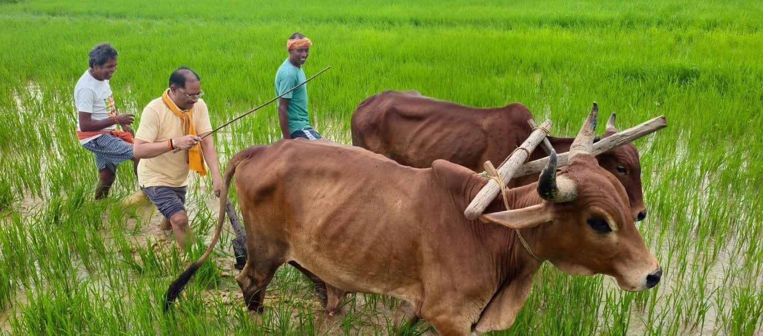 अपनी माटी और खेती-किसानी से मुख्यमंत्री विष्णु देव साय का आत्मीय जुड़ाव