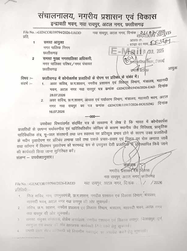 छत्तीसगढ़ में कोनोकार्पस के रोपण पर प्रतिबंध, प्रचार-प्रसार और बिक्री पर भी रोक